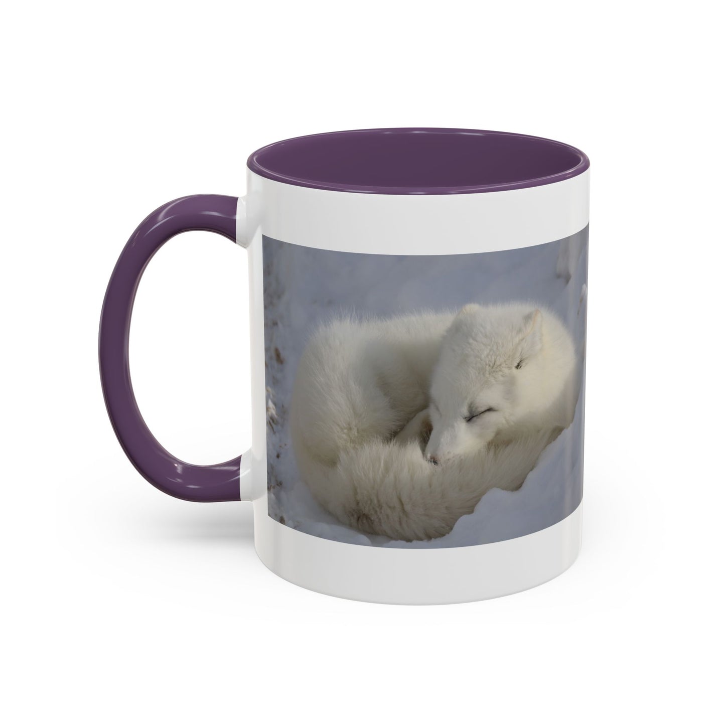 Arctic Fox Photo Accent Coffee Mug – Winter Wildlife Ceramic Mug (11/15oz)