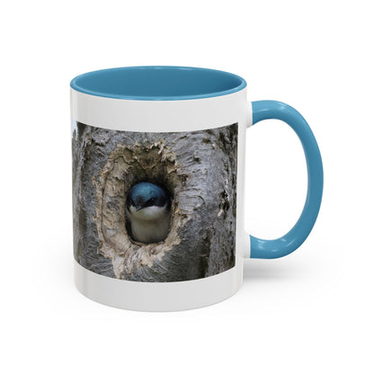 Bluebird in Tree Cavity Accent Coffee Mug — Nature Wildlife Ceramic Mug (11/15oz)