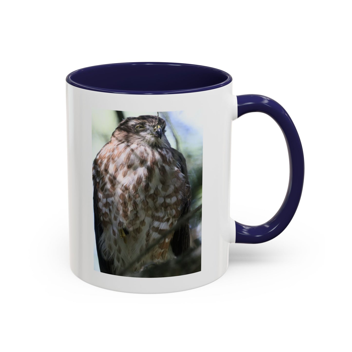 Hawk Photo Accent Coffee Mug — Birdwatcher Gift, 11/15oz