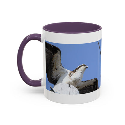 Osprey Photo Accent Coffee Mug – Wildlife Bird Photography Drinkware (11/15 oz)