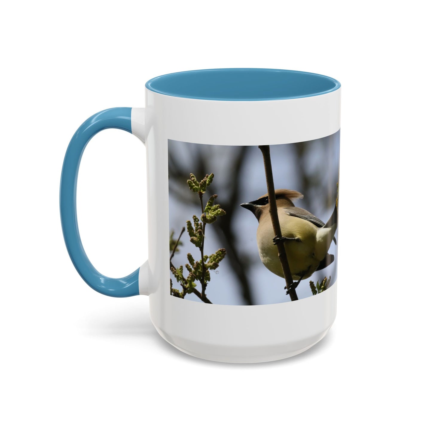 Cedar Waxwing Bird Photo Accent Coffee Mug