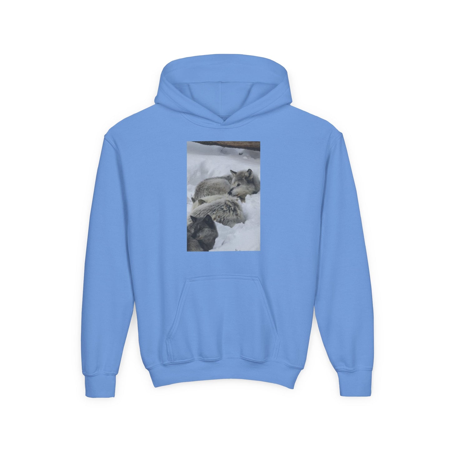Sleeping Foxes Youth Hoodie | Wildlife Photography, Snow Scene