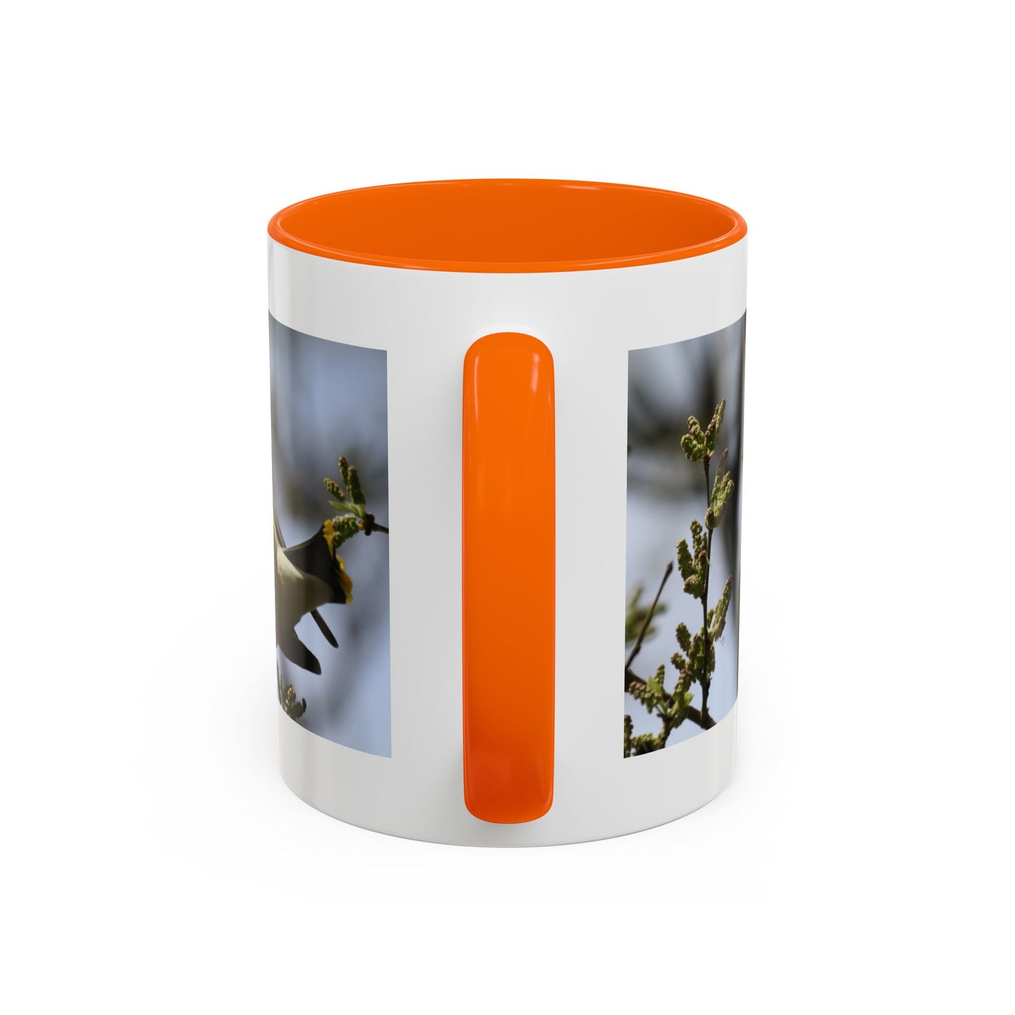 Cedar Waxwing Bird Photo Accent Coffee Mug