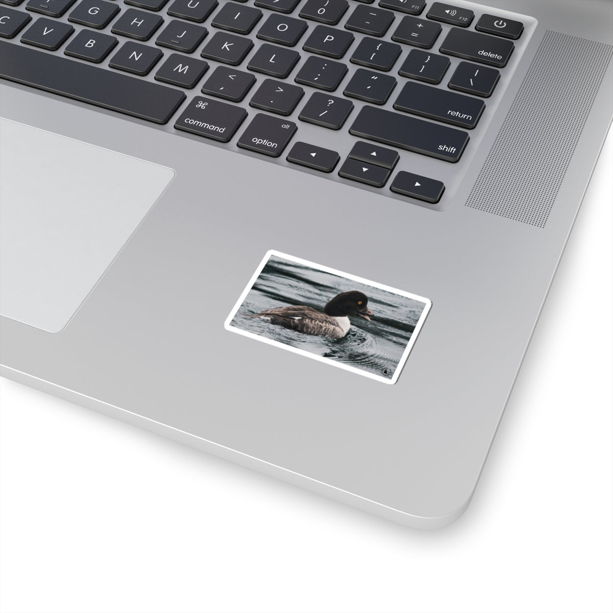 Kiss-Cut Sticker — Realistic Duck on Water Photograph | Waterproof Laptop Decal