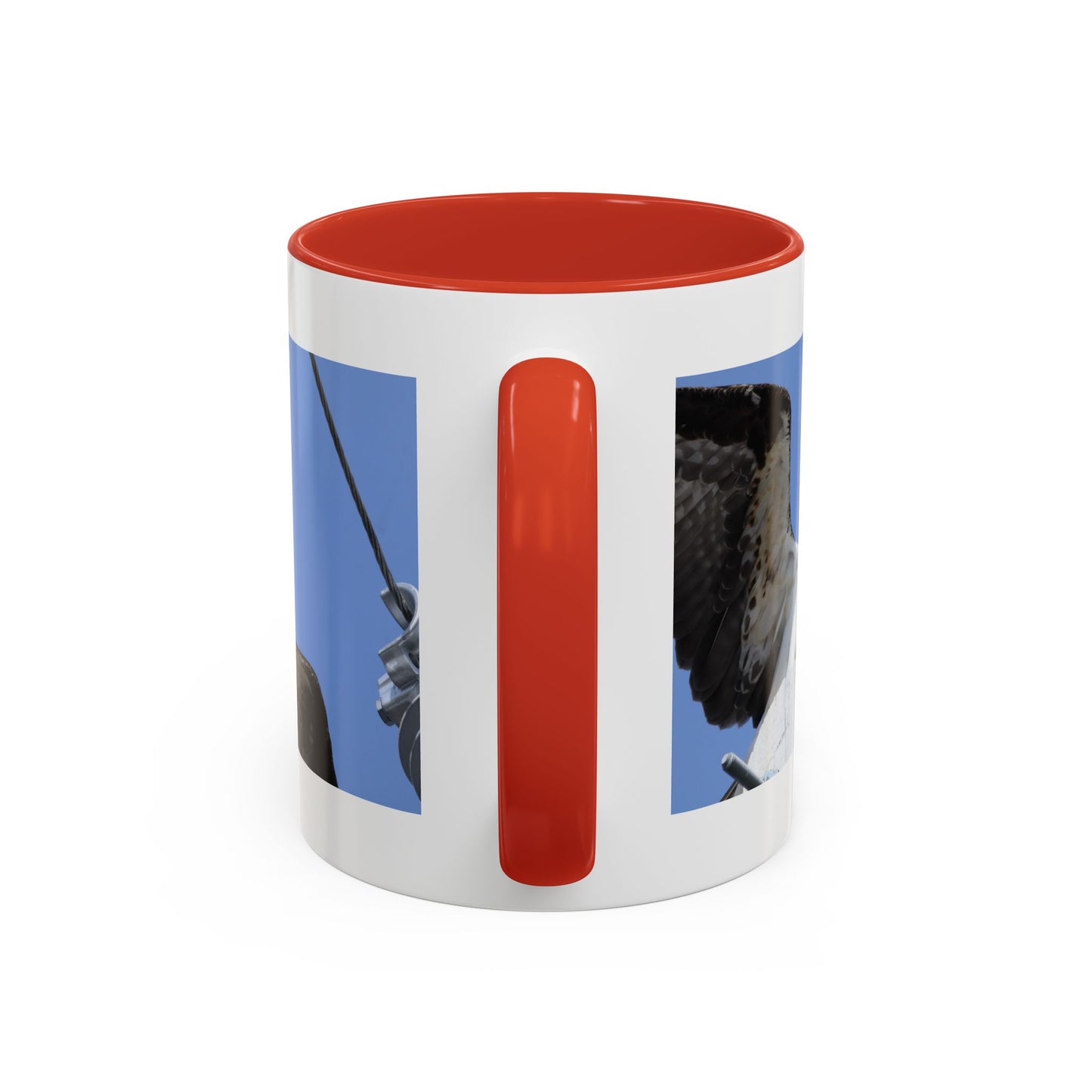 Osprey Photo Accent Coffee Mug – Wildlife Bird Photography Drinkware (11/15 oz)