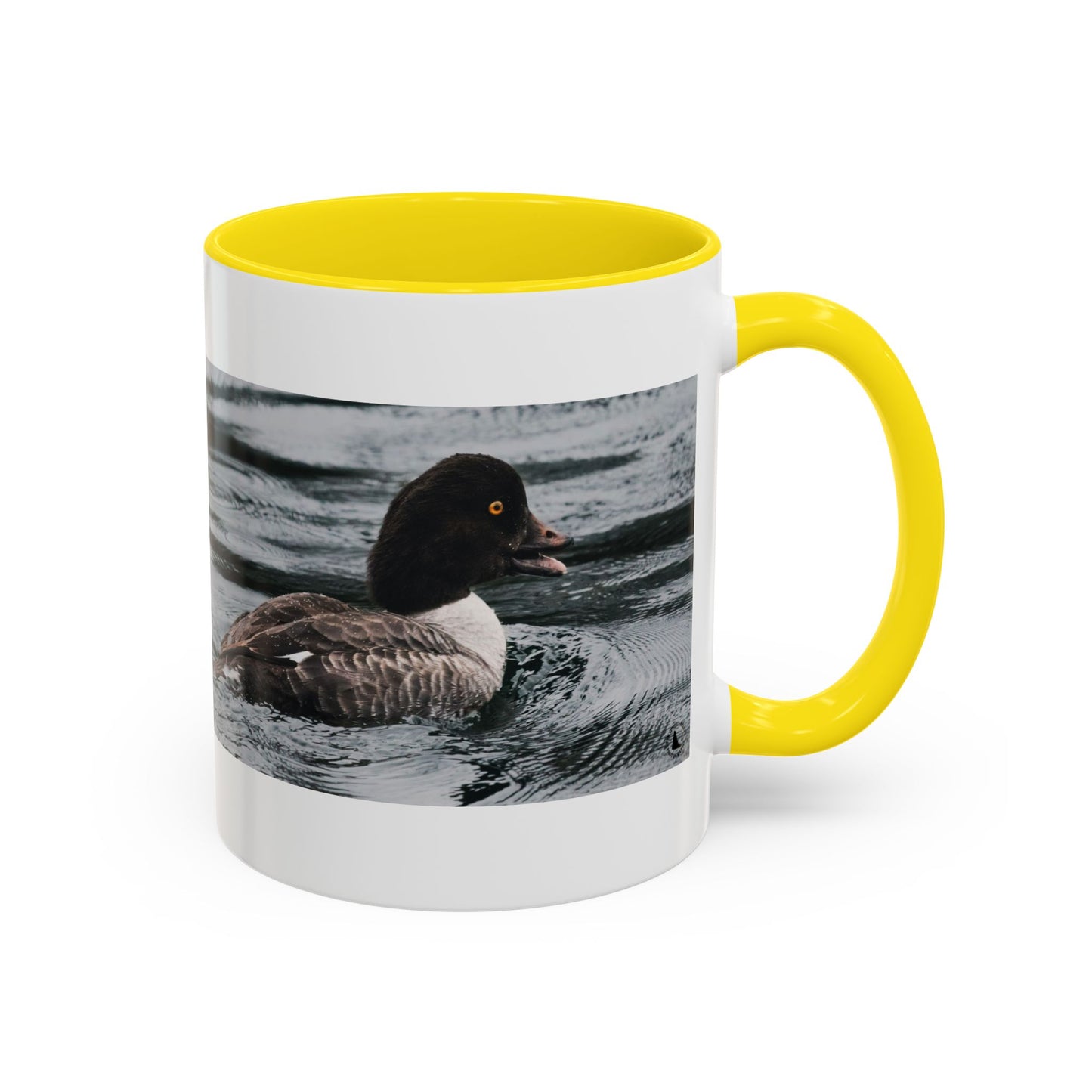 Goldeneye Duck Photo Accent Coffee Mug — Wildlife Nature Lover Gift (11/15 oz)
