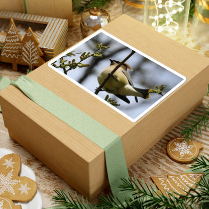 Cedar Waxwing Bird Sticker — Wildlife Photo Kiss-Cut Decal