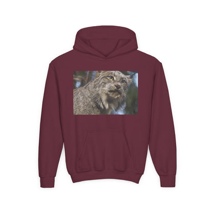 Youth Lynx Hoodie – Realistic Wildcat Photo Pullover for Kids