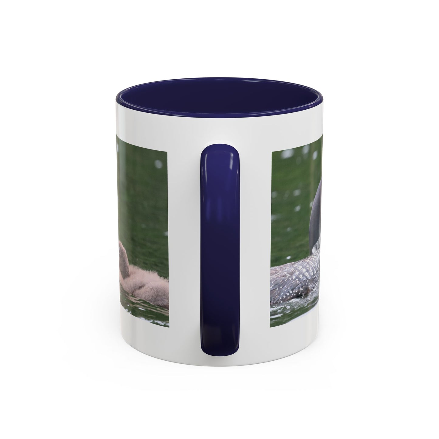 Loon Family Accent Coffee Mug – Wildlife Photo Tea Mug (11/15 oz)