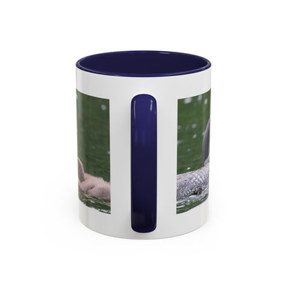 Loon Family Accent Coffee Mug – Wildlife Photo Tea Mug (11/15 oz)