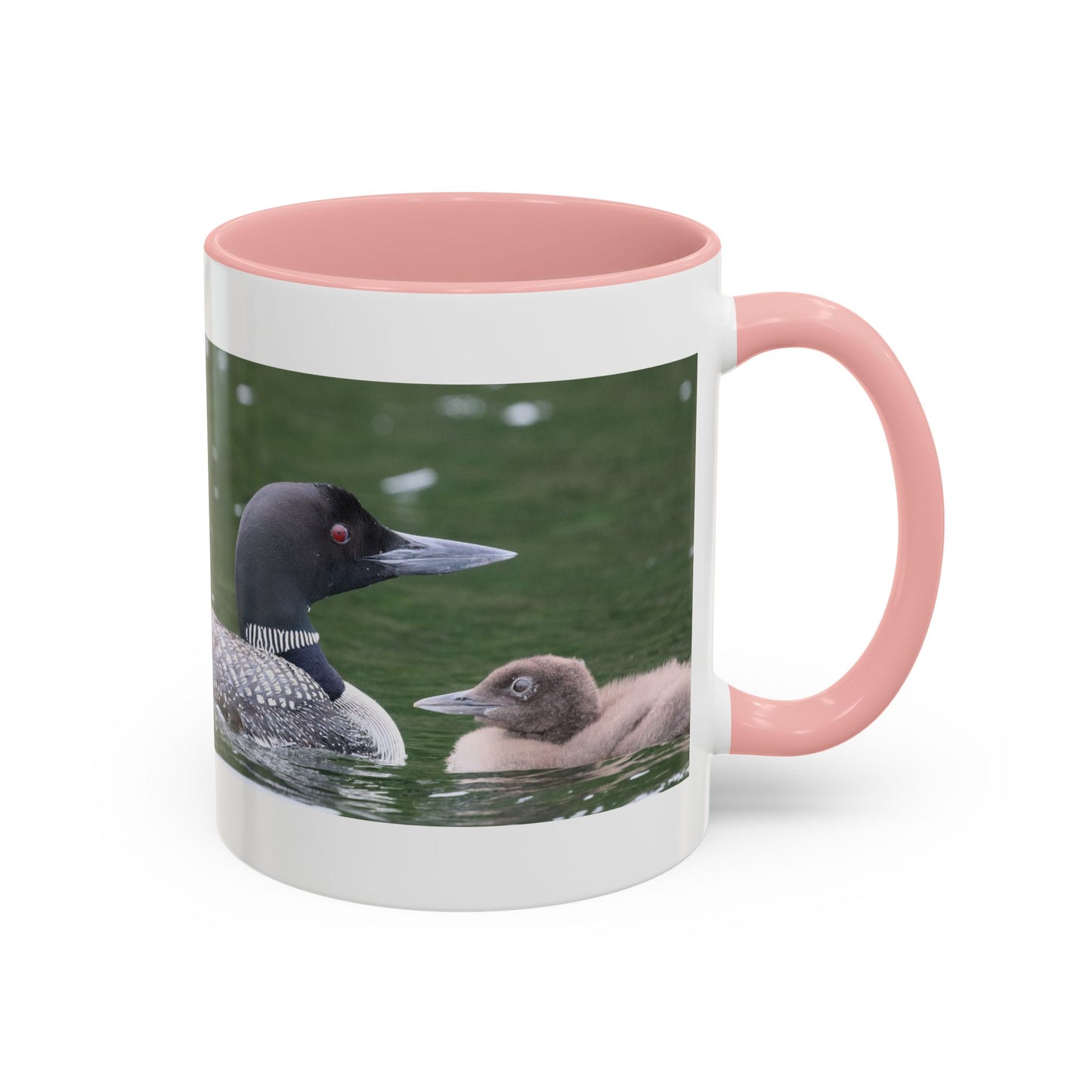 Loon Family Accent Coffee Mug – Wildlife Photo Tea Mug (11/15 oz)