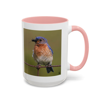 Bluebird Photo Coffee Mug — Eastern Bluebird with Insect Accent Mug (11/15 oz)