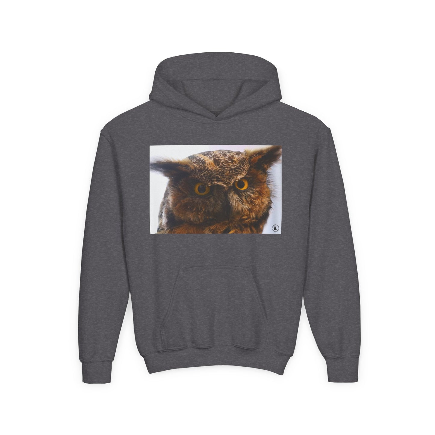 Youth Hoodie with Realistic Owl Art — Cute Kids Animal Pullover