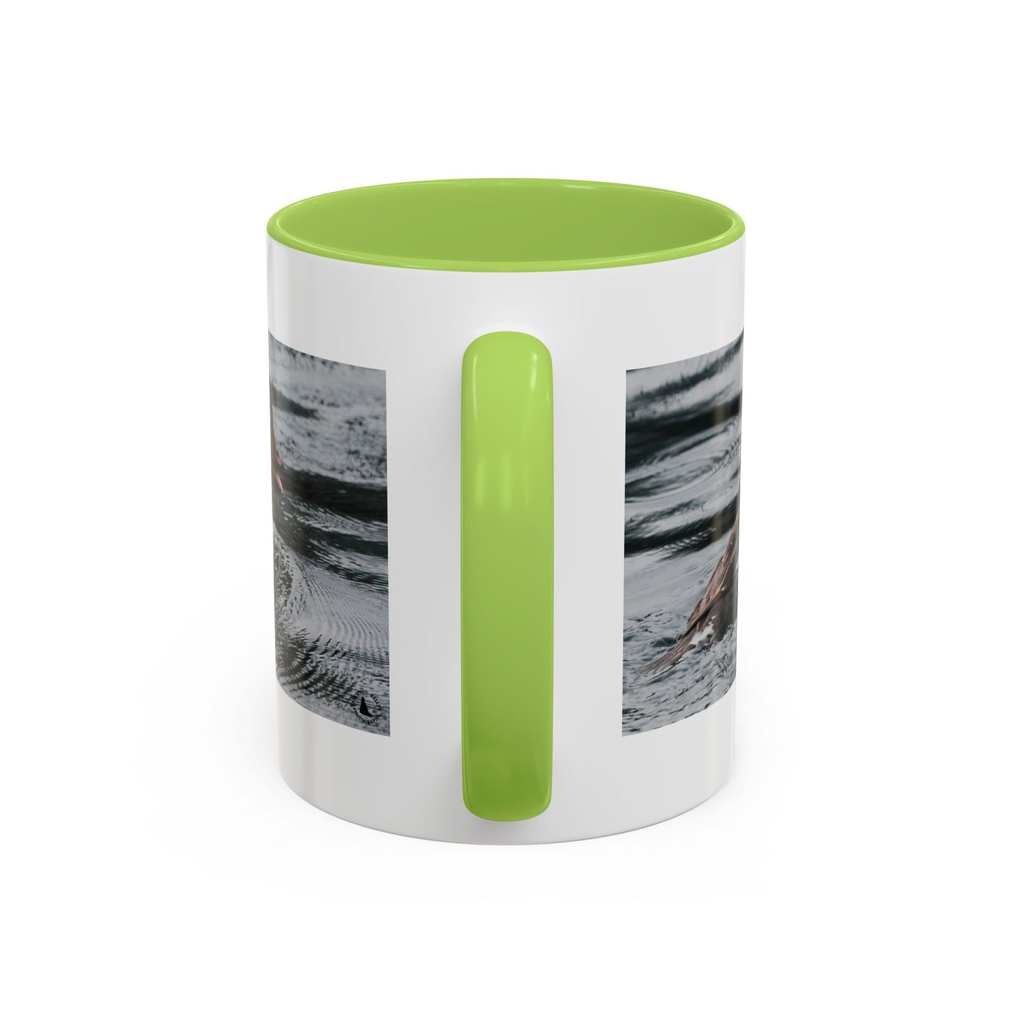 Goldeneye Duck Photo Accent Coffee Mug — Wildlife Nature Lover Gift (11/15 oz)