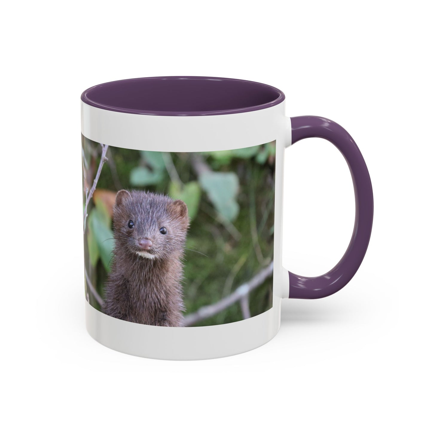 Cute Mink Photo Accent Mug – Wildlife Photography Coffee Cup (11/15 oz)