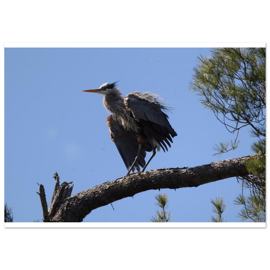 115ef564-3899-45c9-9301-345f09714a68