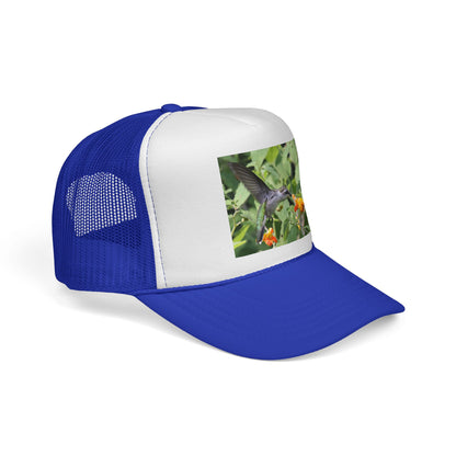 Hummingbird Photo Trucker Cap — Nature Wildlife Mesh Hat