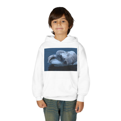 Youth Hoodie with Sleeping Swan Photo — Cozy Wildlife Sweatshirt