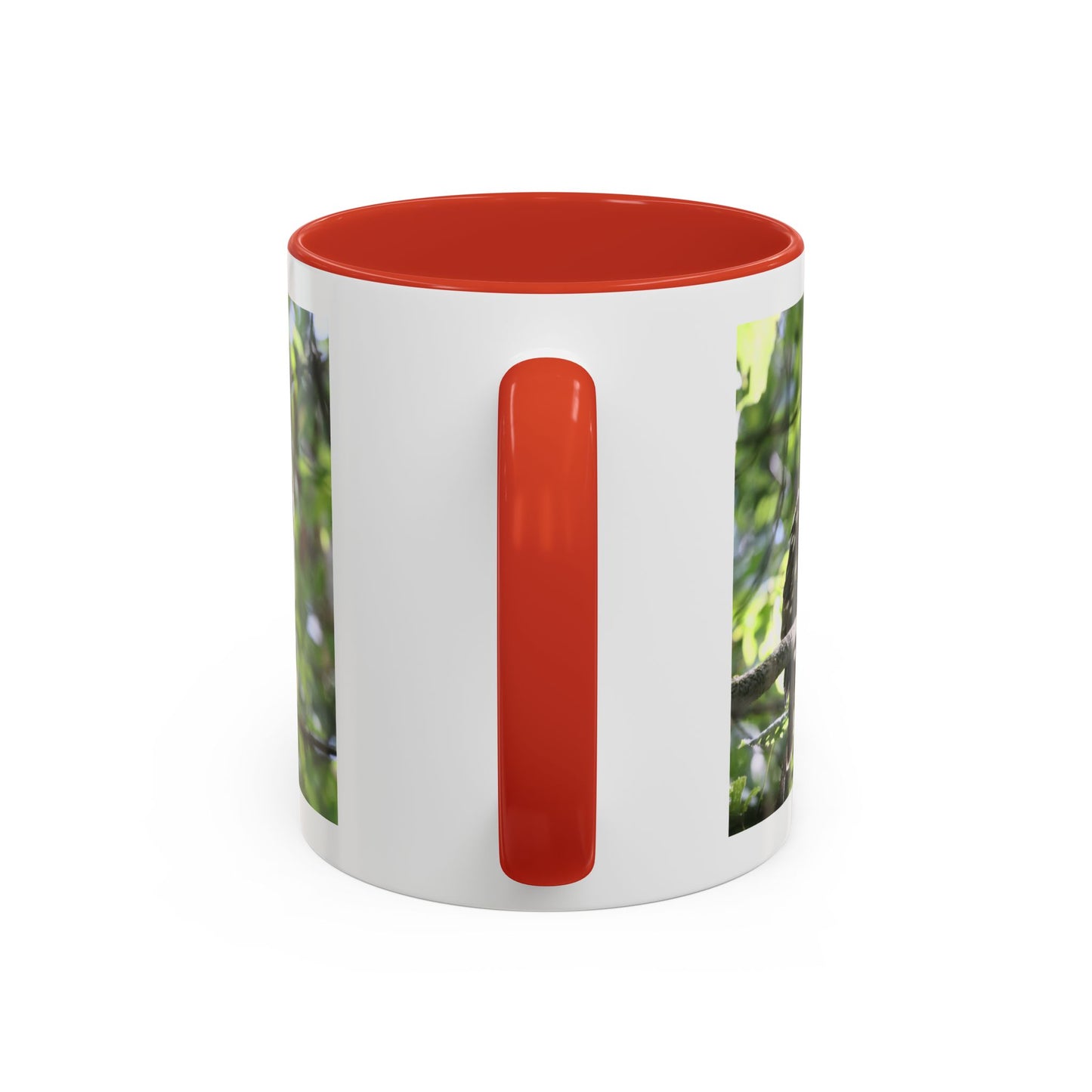 Hawk Perch Accent Coffee Mug (11/15 oz) – Nature Bird Photography