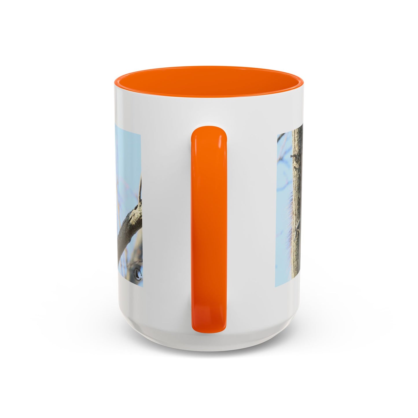 Porcupine Photo Accent Coffee Mug — Wildlife Nature Lover Gift (11/15oz)