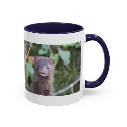 Cute Mink Photo Accent Mug – Wildlife Photography Coffee Cup (11/15 oz)