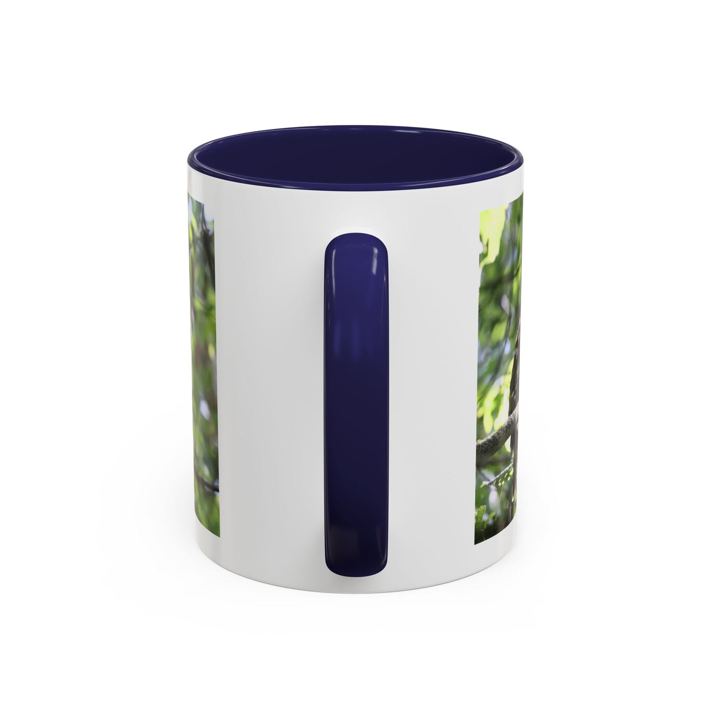 Hawk Perch Accent Coffee Mug (11/15 oz) – Nature Bird Photography