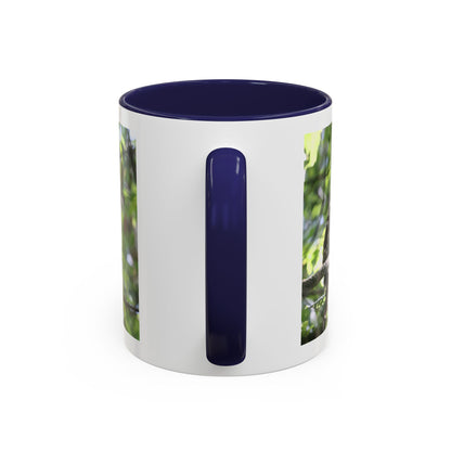 Hawk Perch Accent Coffee Mug (11/15 oz) – Nature Bird Photography