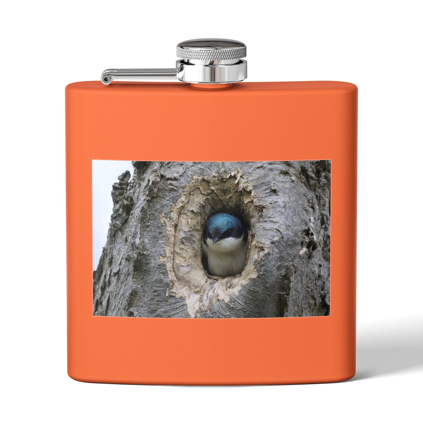 6oz Stainless Steel Flask with Tree Swallow Nest Photo — Nature Lover Gift