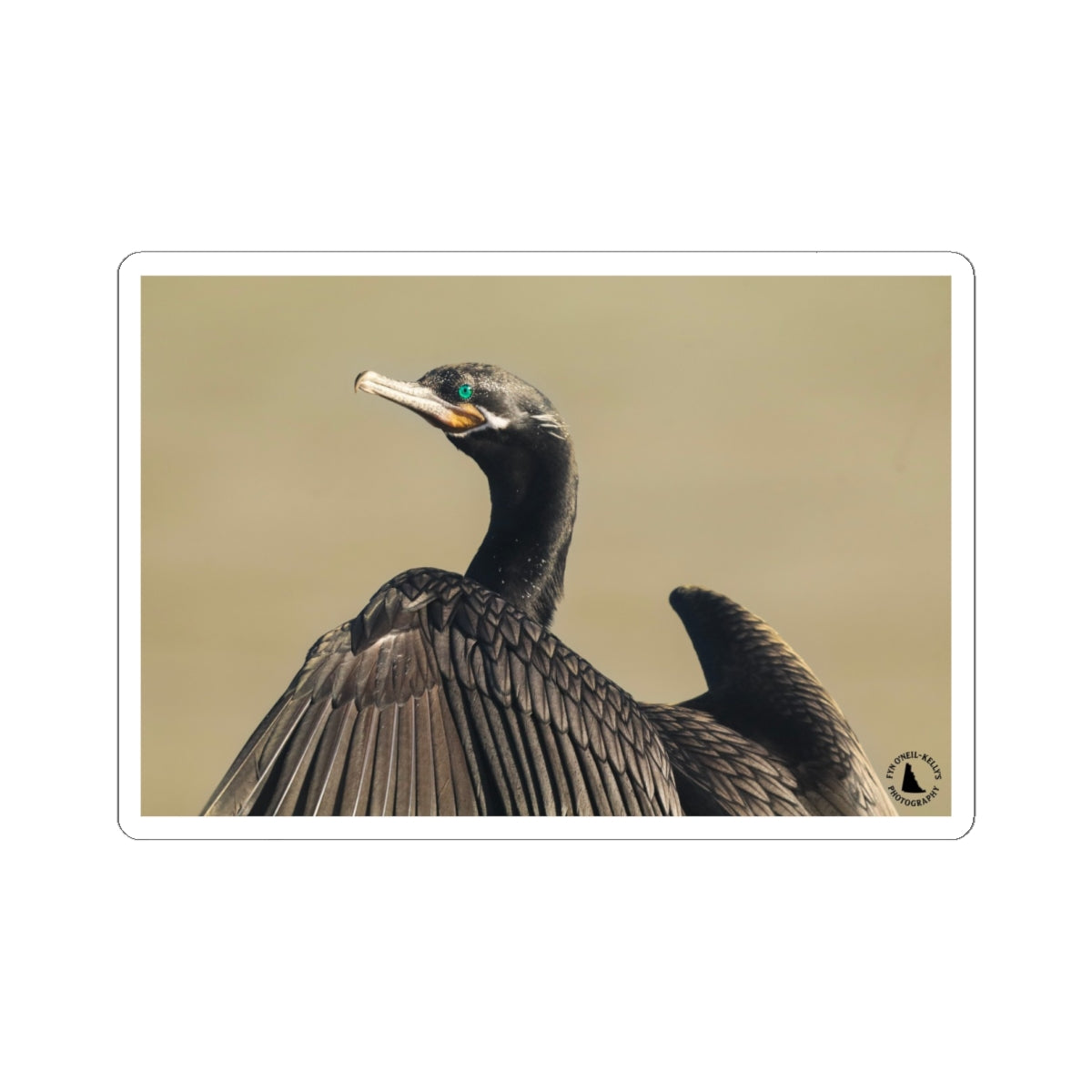 Cormorant Photo Sticker — Wildlife Kiss-Cut Vinyl Sticker