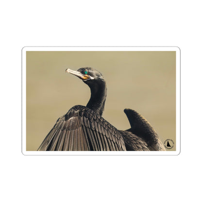 Cormorant Photo Sticker — Wildlife Kiss-Cut Vinyl Sticker