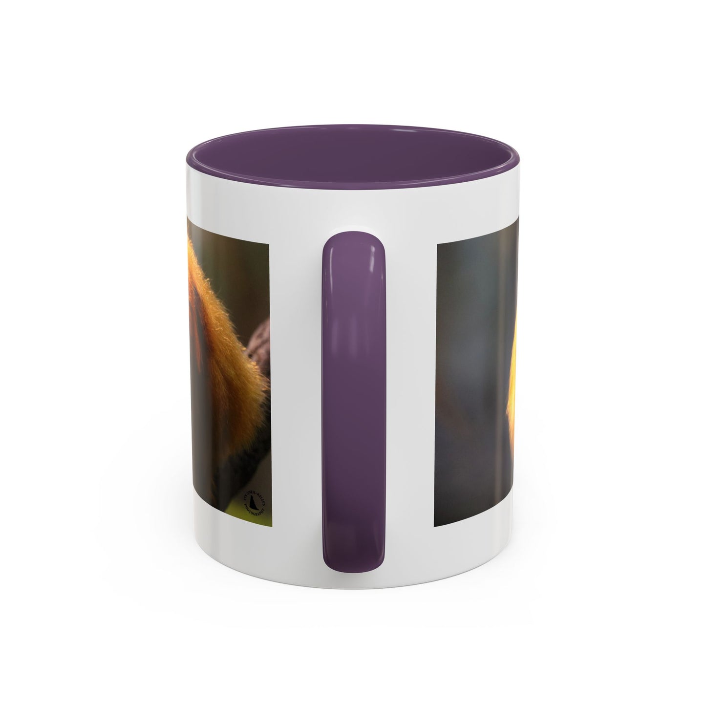 Golden Lion Tamarin Coffee Mug — Cute Exotic Monkey Accent Mug (11/15oz)