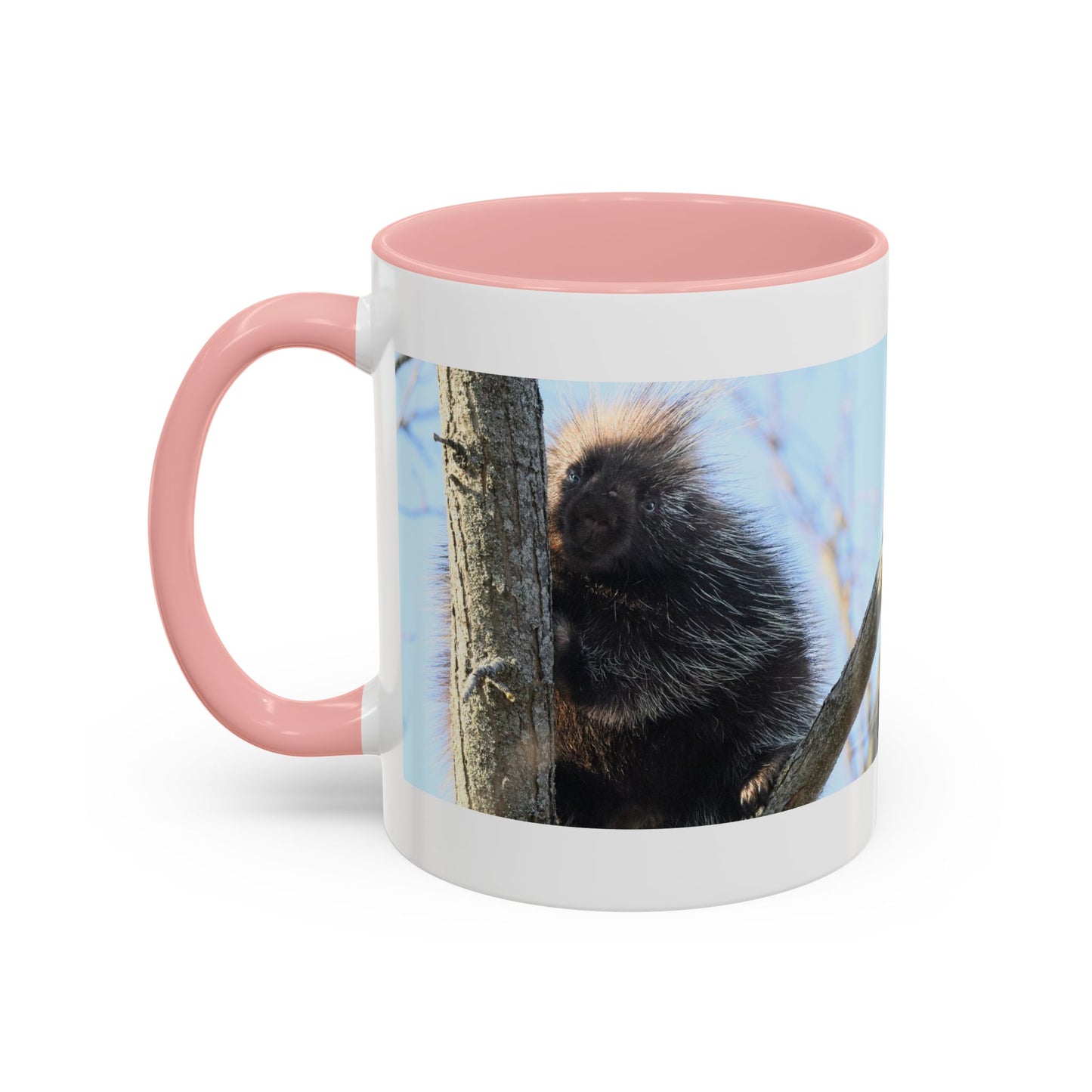 Porcupine Photo Accent Coffee Mug — Wildlife Nature Lover Gift (11/15oz)