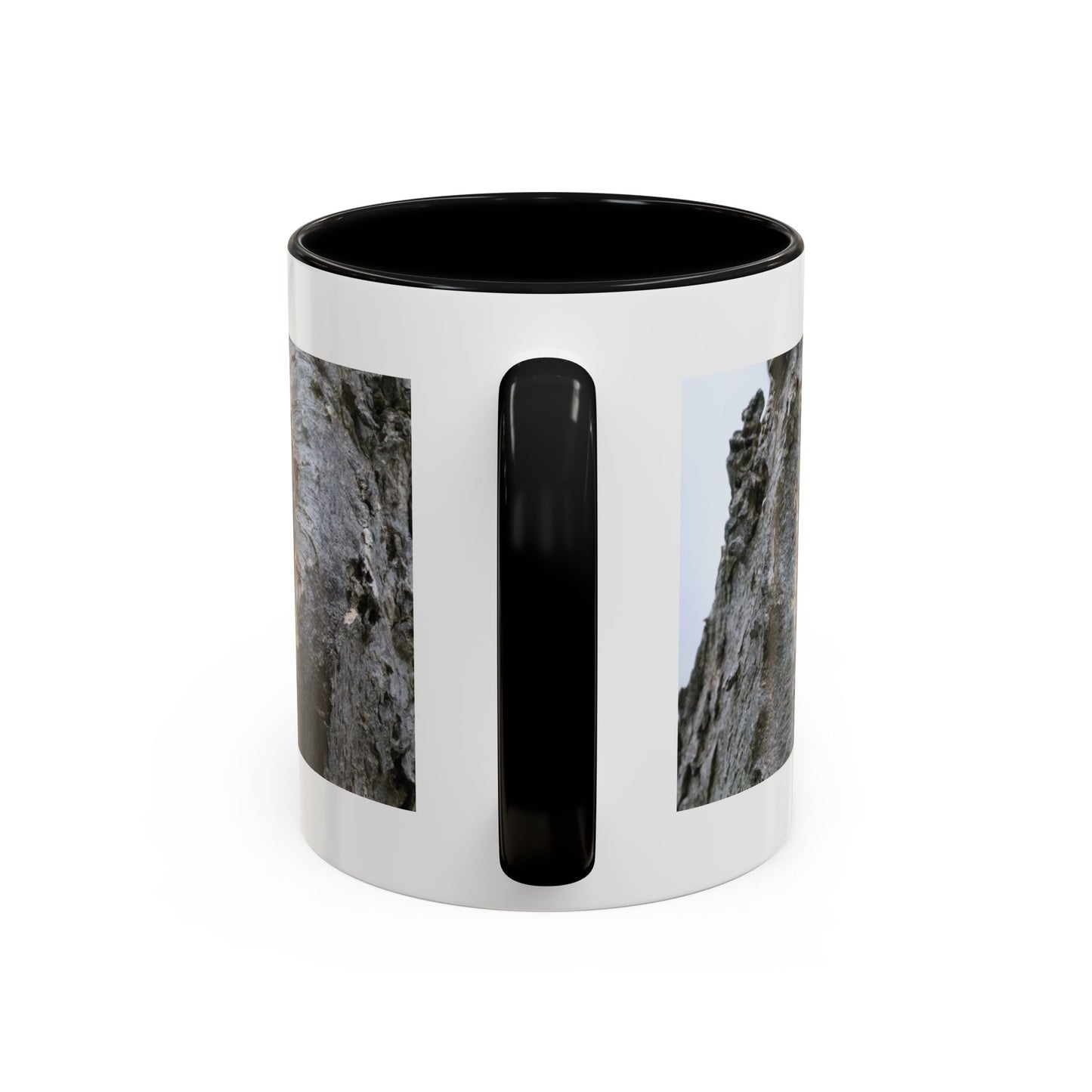 Bluebird in Tree Cavity Accent Coffee Mug — Nature Wildlife Ceramic Mug (11/15oz)