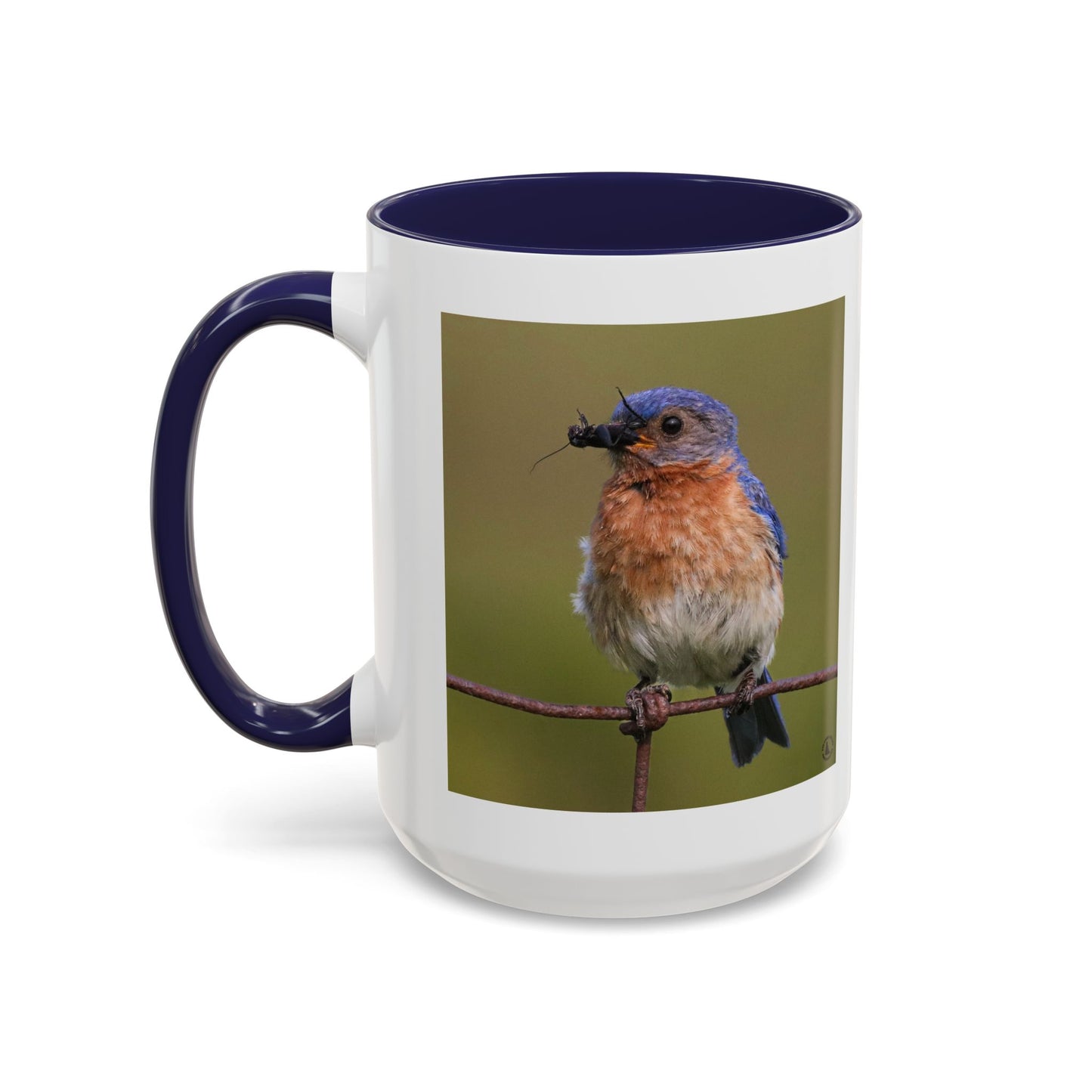 Bluebird Photo Coffee Mug — Eastern Bluebird with Insect Accent Mug (11/15 oz)
