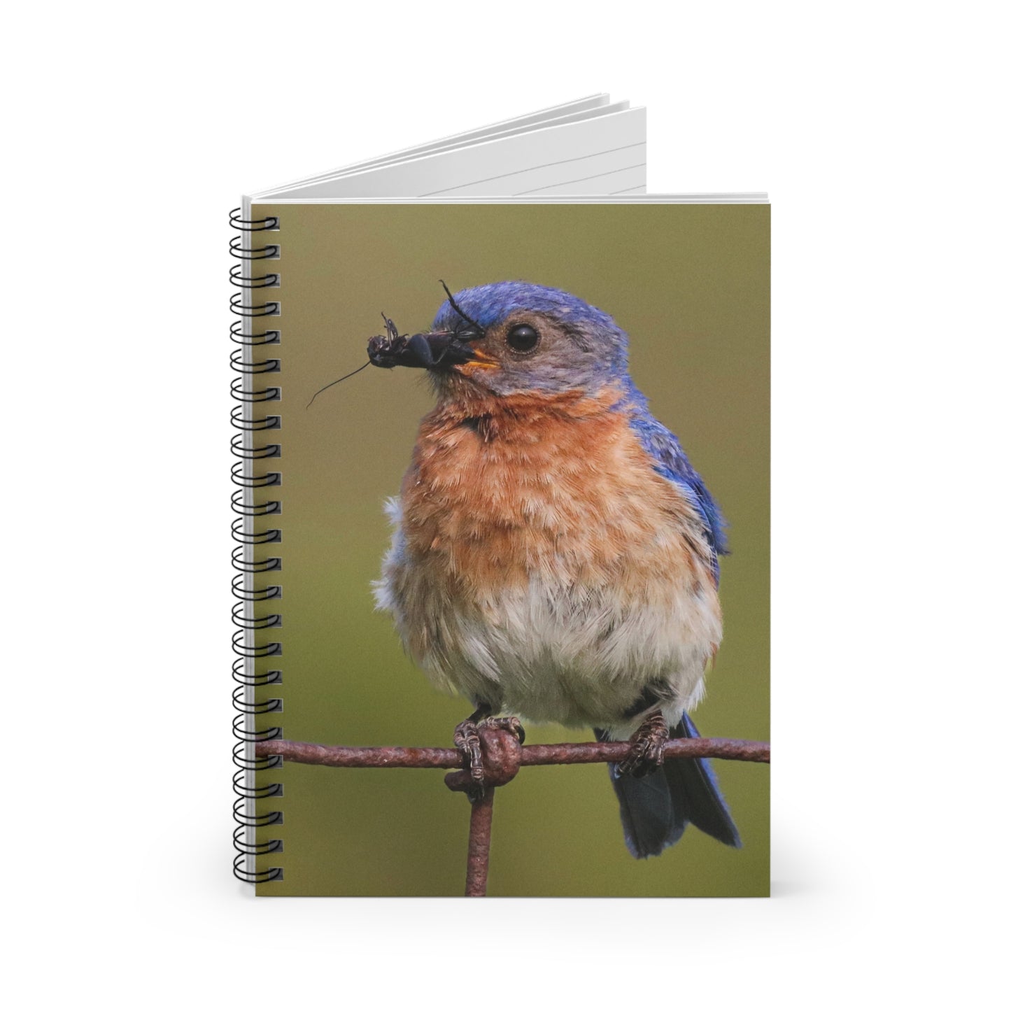 Eastern Bluebird Photo Spiral Notebook — Ruled Journal for Bird Lovers & Nature Observers