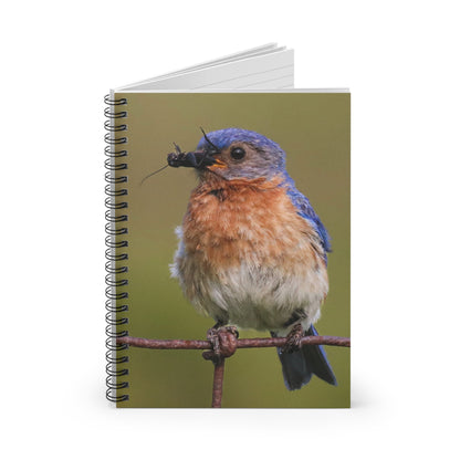 Eastern Bluebird Photo Spiral Notebook — Ruled Journal for Bird Lovers & Nature Observers