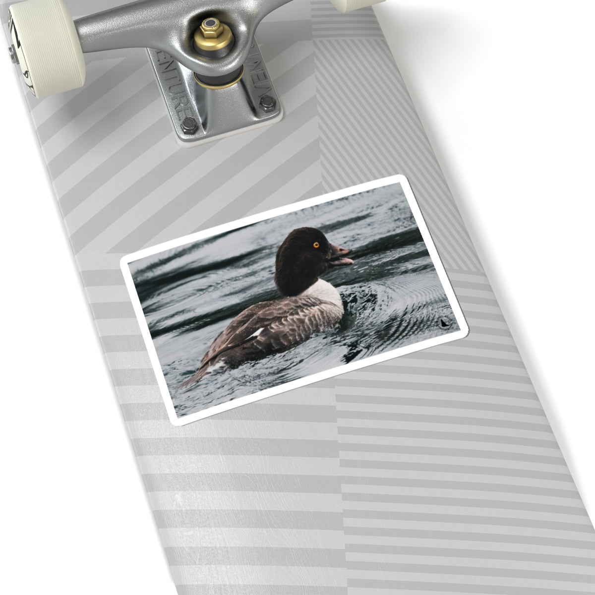 Kiss-Cut Sticker — Realistic Duck on Water Photograph | Waterproof Laptop Decal