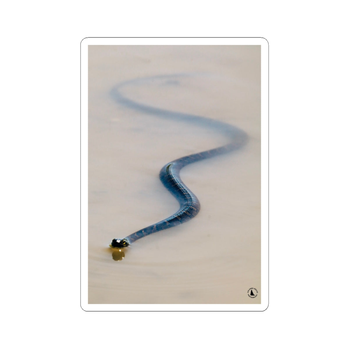 Blue Viper Snake Kiss-Cut Sticker — Realistic Serpent Decorative Decal