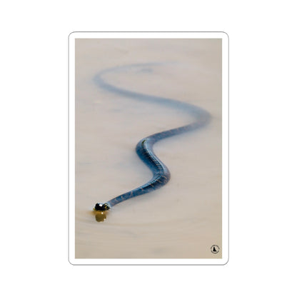 Blue Viper Snake Kiss-Cut Sticker — Realistic Serpent Decorative Decal