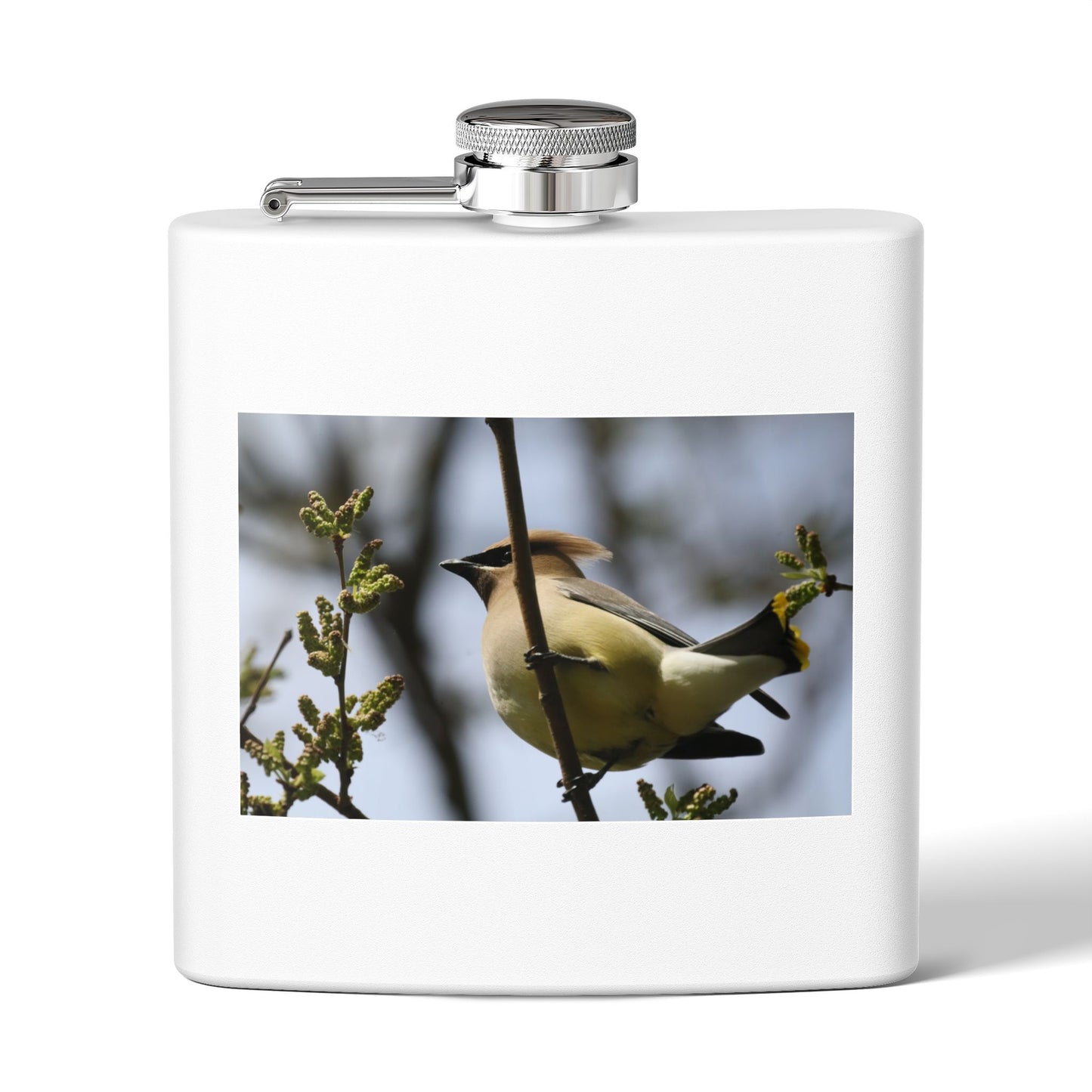 6oz Stainless Steel Flask with Cedar Waxwing Bird Photo — Wildlife Gift for Bird Lovers