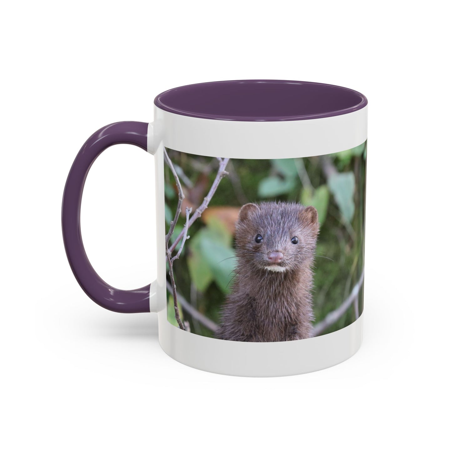 Cute Mink Photo Accent Mug – Wildlife Photography Coffee Cup (11/15 oz)