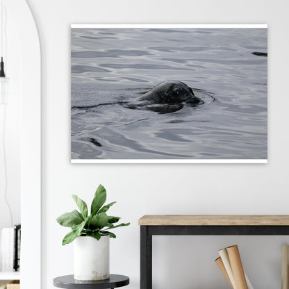 11f9fd03-76d1-4d04-ace0-e2032a7db0ec