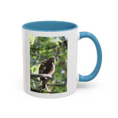 Hawk Perch Accent Coffee Mug (11/15 oz) – Nature Bird Photography