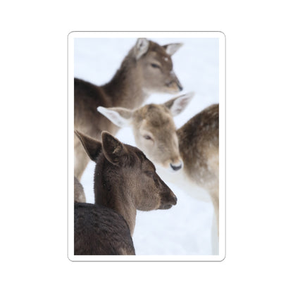 Deer Herd Kiss-Cut Sticker — Winter Wildlife Photo Sticker