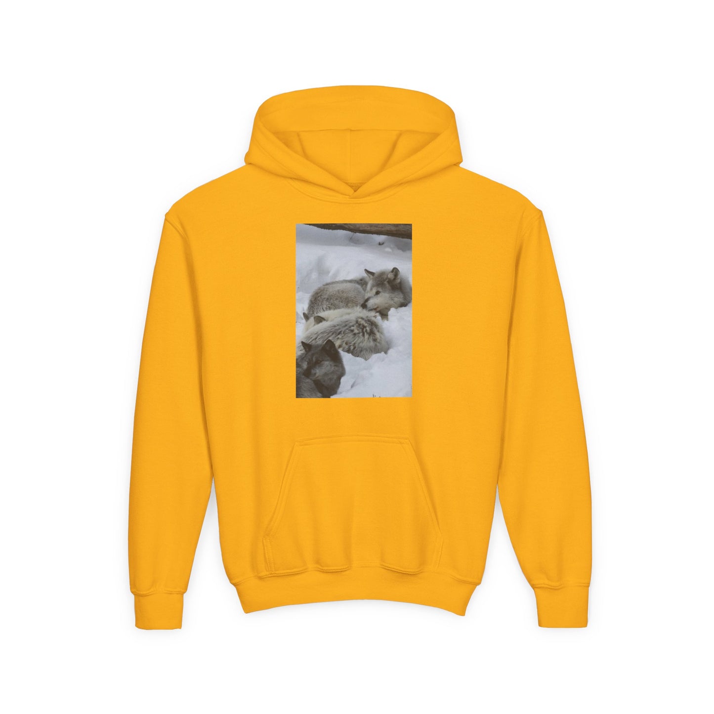 Sleeping Foxes Youth Hoodie | Wildlife Photography, Snow Scene