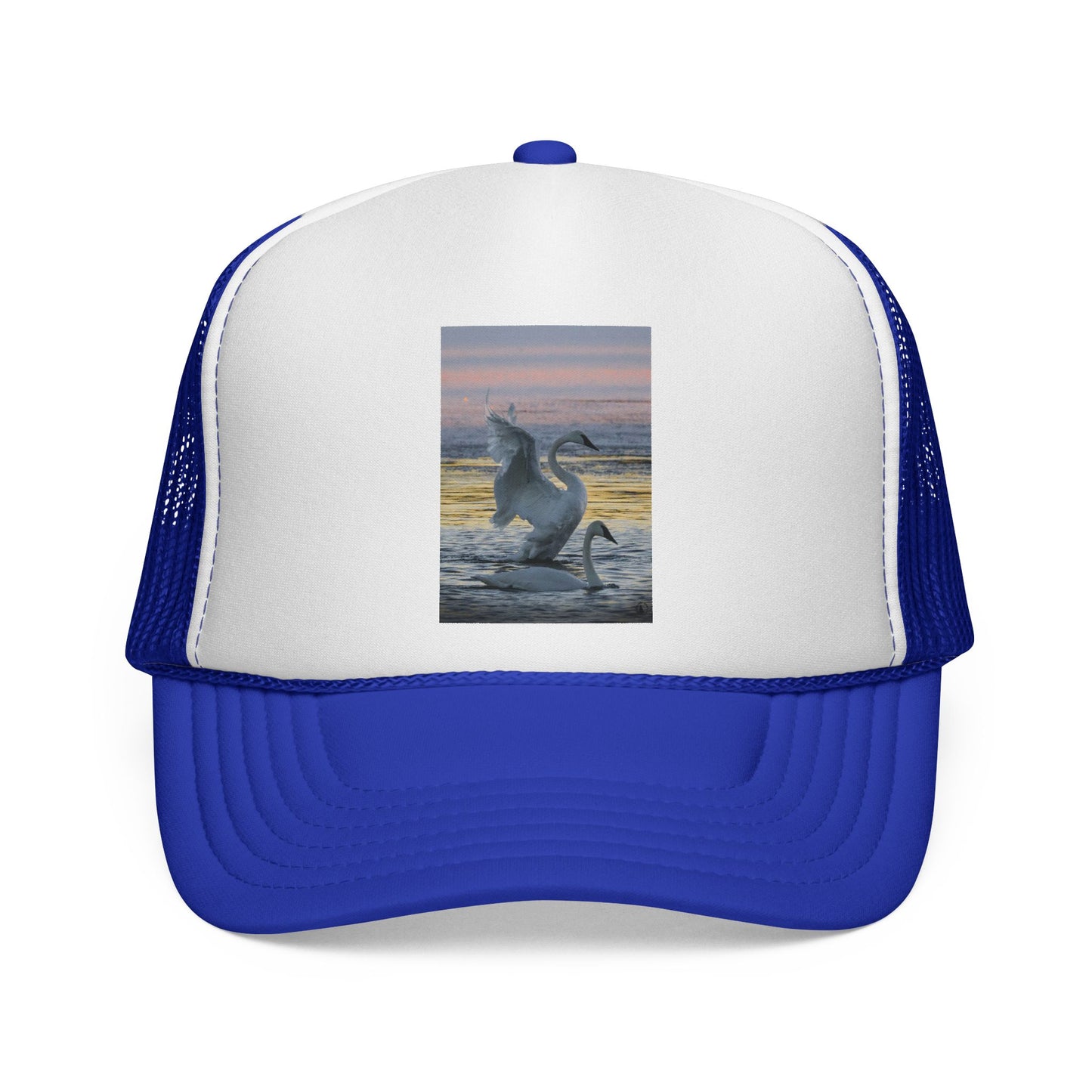 Trucker Cap — Dancing Dolphin Sunset Mesh Hat