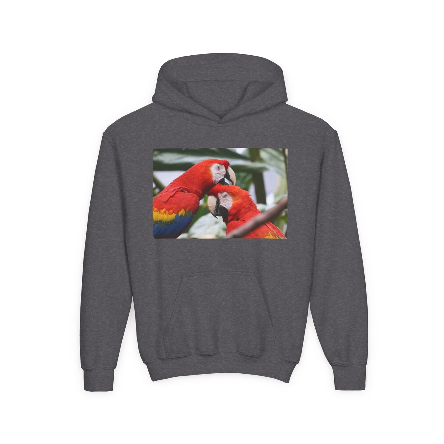Youth Parrot Hoodie – Colorful Scarlet Macaw Kids Pullover