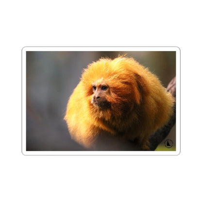 Golden Lion Tamarin Sticker — Cute Tropical Monkey Laptop Decal