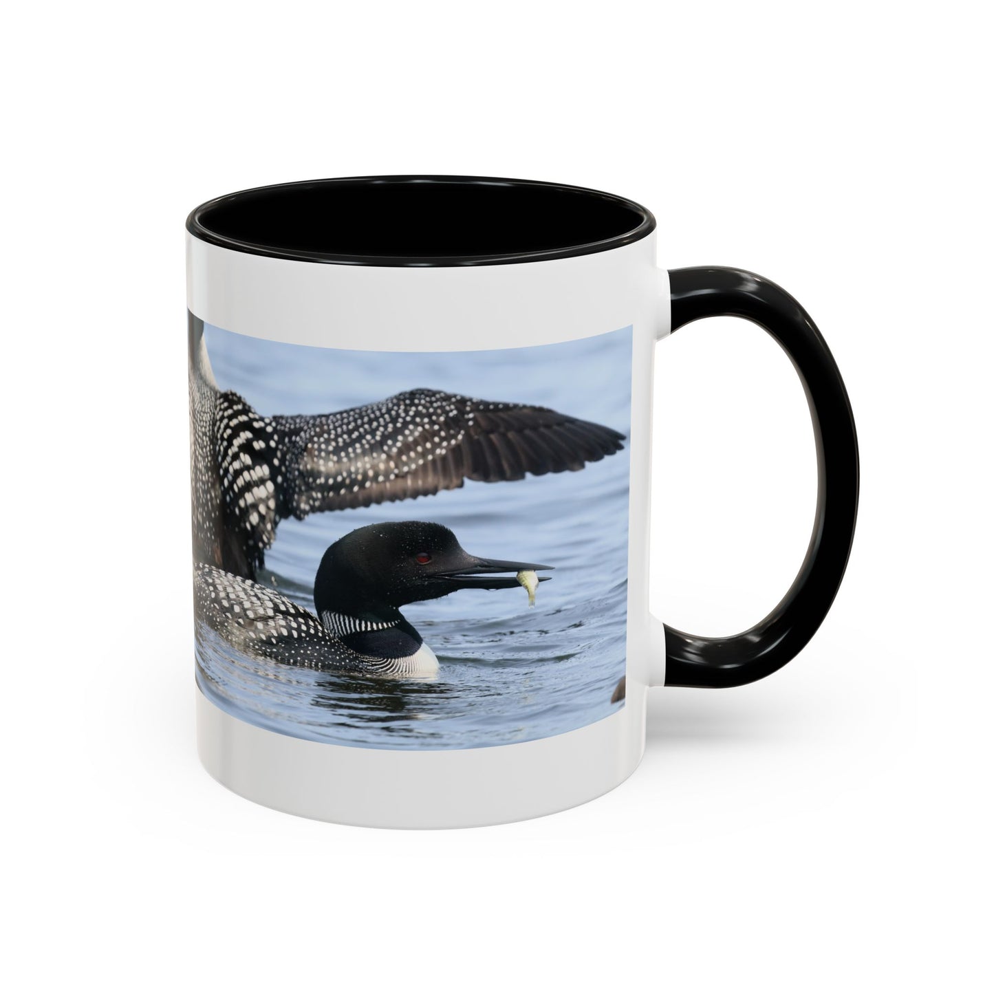 Common Loon Accent Coffee Mug – Wildlife Photography Bird Lover Gift (11/15oz)