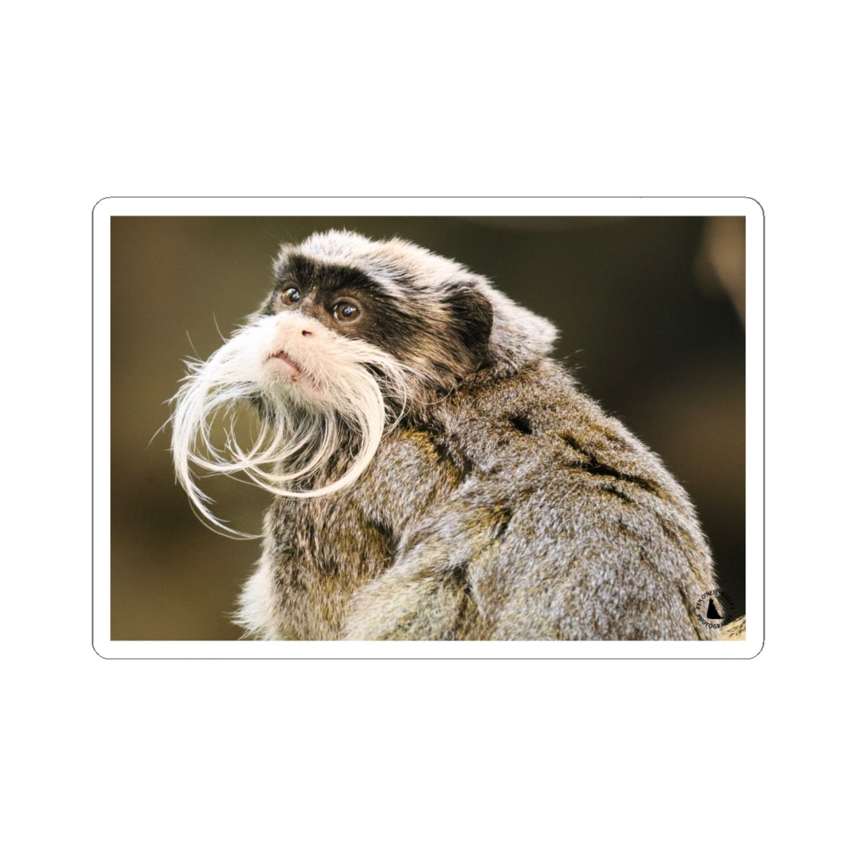 Emperor Tamarin Sticker — Cute Mustache Monkey Kiss-Cut Vinyl Sticker for Laptops & Water Bottles